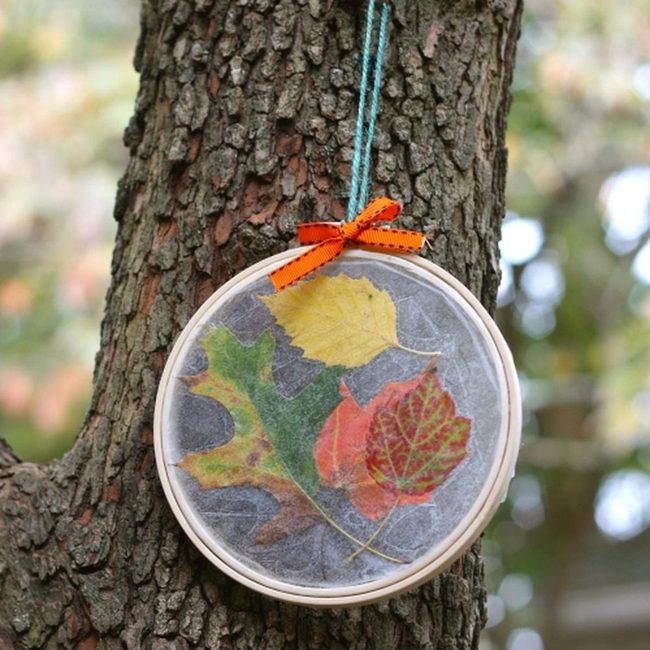 Pressed Autumn Leaves In Wood