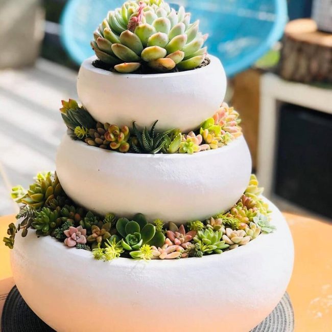 Tiered Succulents White Pots Green