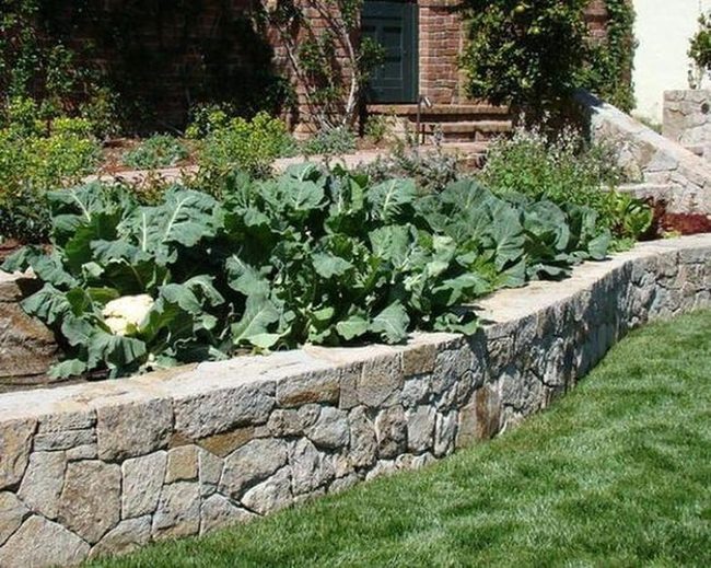 Stone Raised Beds With Greens