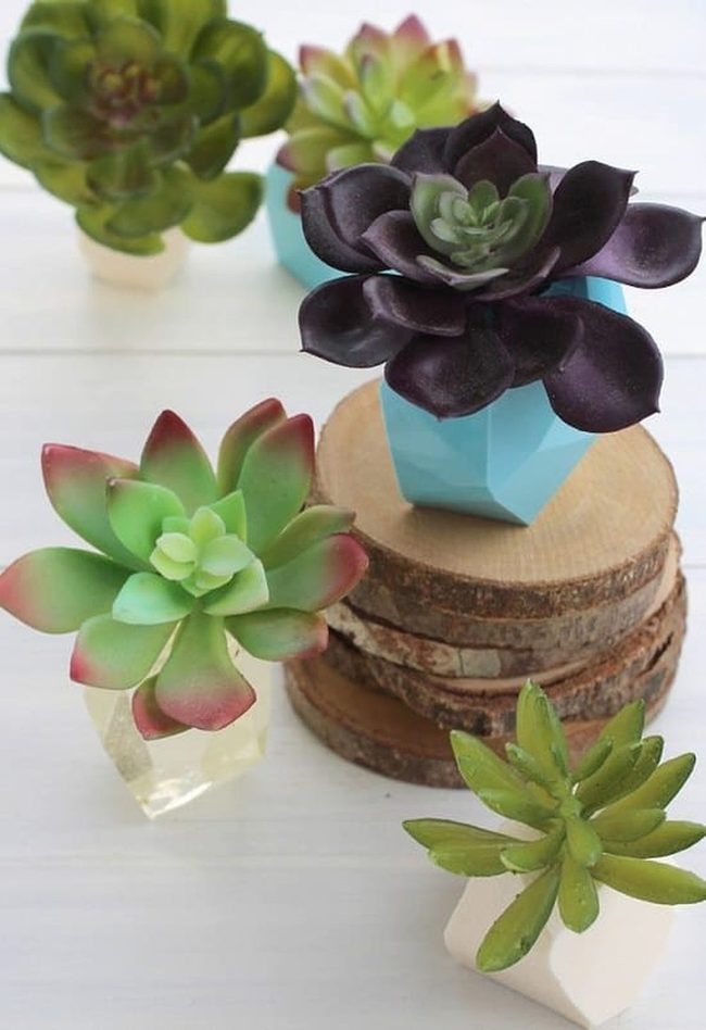 Concrete Geometric Succulent Vessels