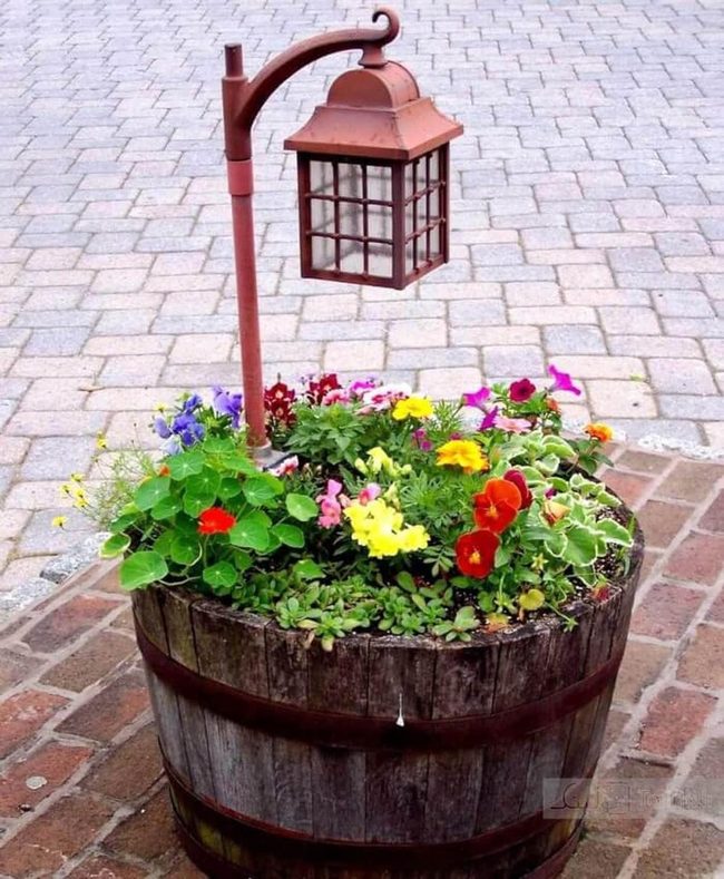 Wooden Barrel, Cascading Blooms, Glowing Lantern