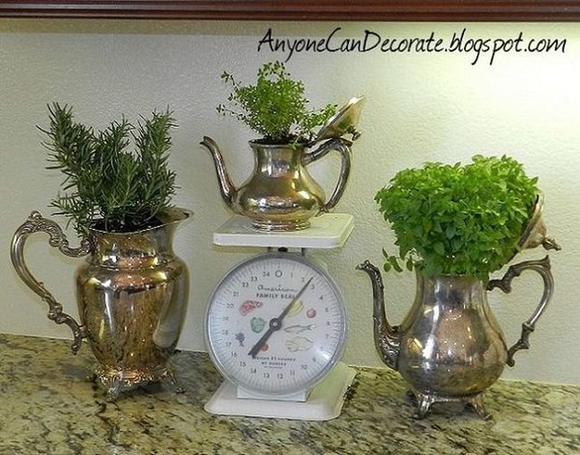 Ceramic Vessels, Living Gardens
