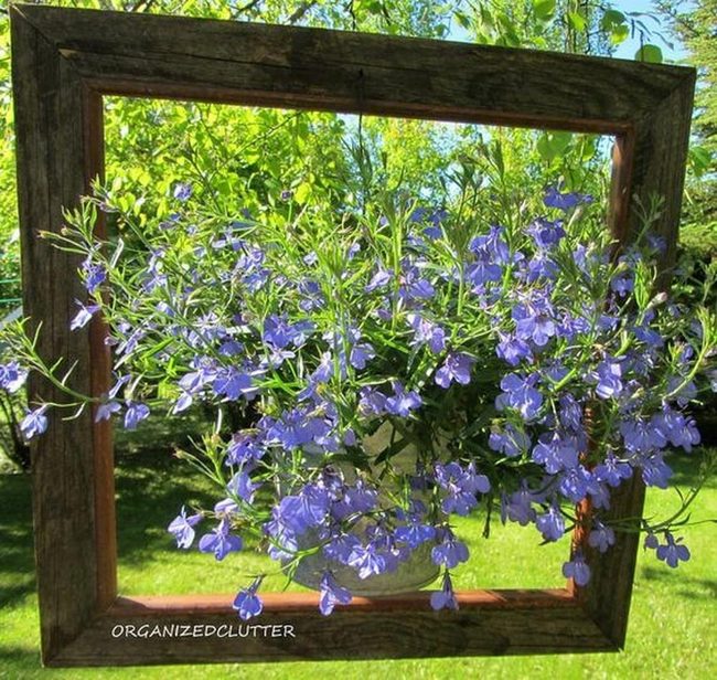 Lavender Wood Frame Elegance