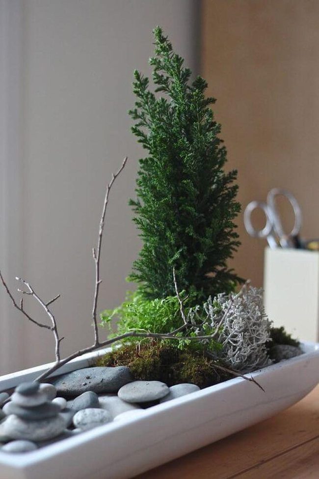 Moss-Covered Stones Garden Design