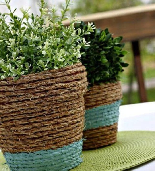 Green Plants In Rope-Wrapped Blue Pots