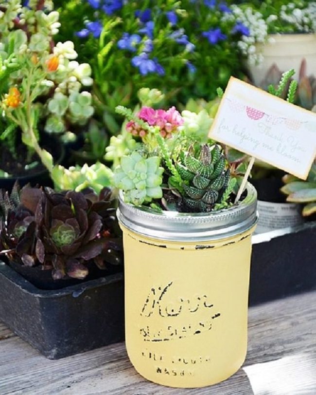 Ceramic Succulents For Small Spaces