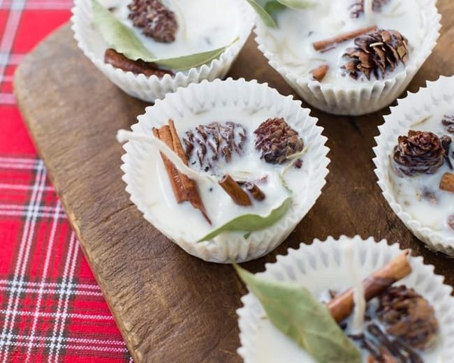 Cream, Cinnamon, Pine Cone Festivity