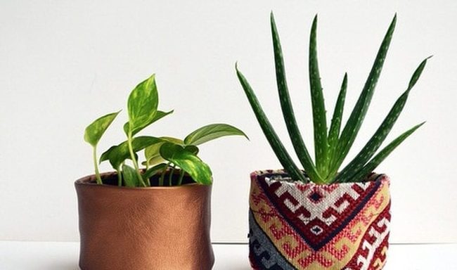 Fabric-Wrapped Planters Luxury