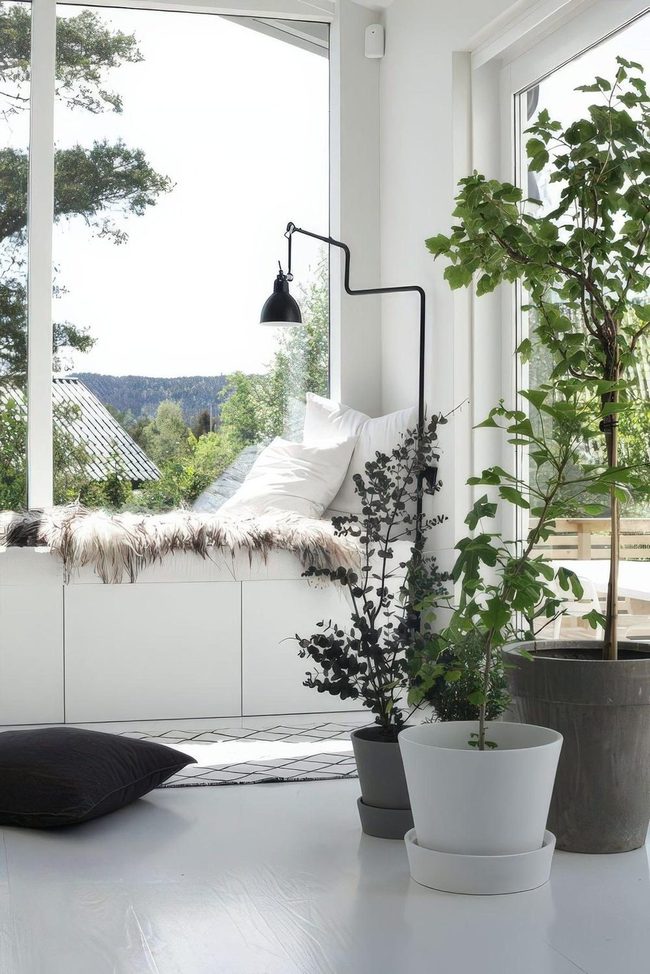 Window Seat With Forest Views