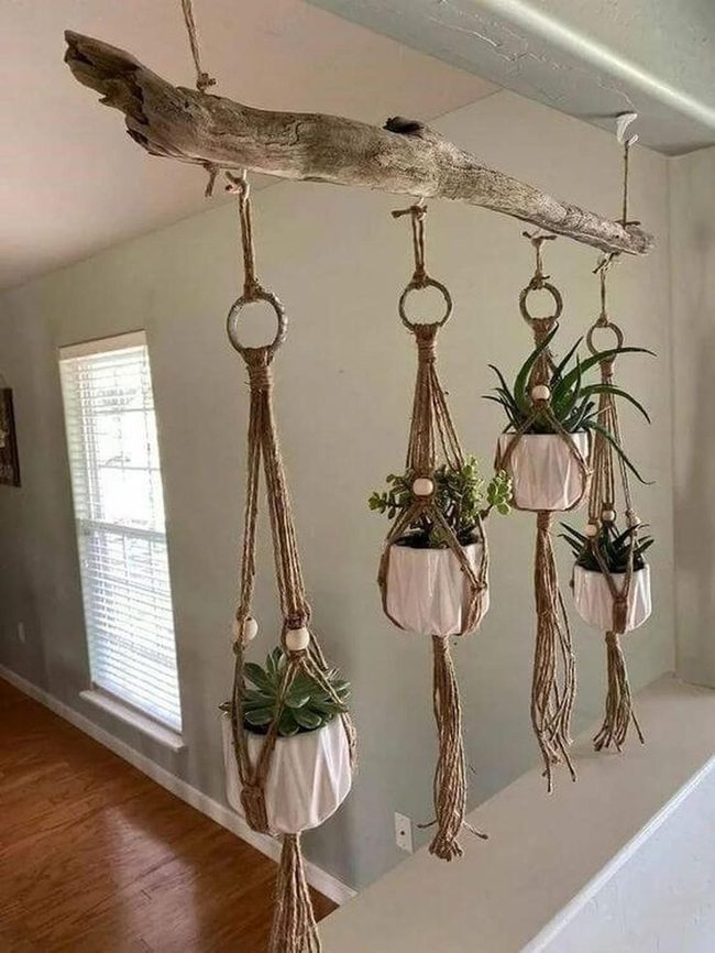 Weathered Branch Succulent Wall
