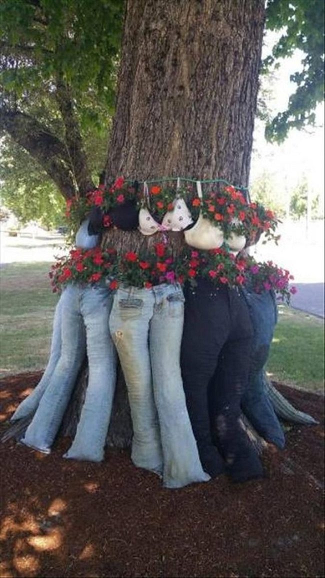 Bra Planters Around Trees