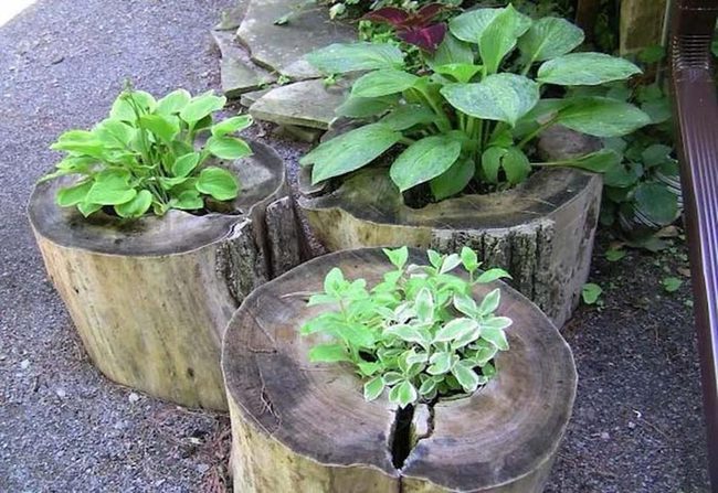 Bare Wood Planters Green Centerpieces