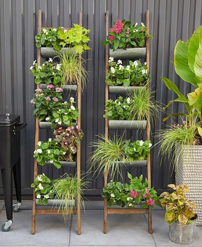 Vertical Garden Ladder Structure