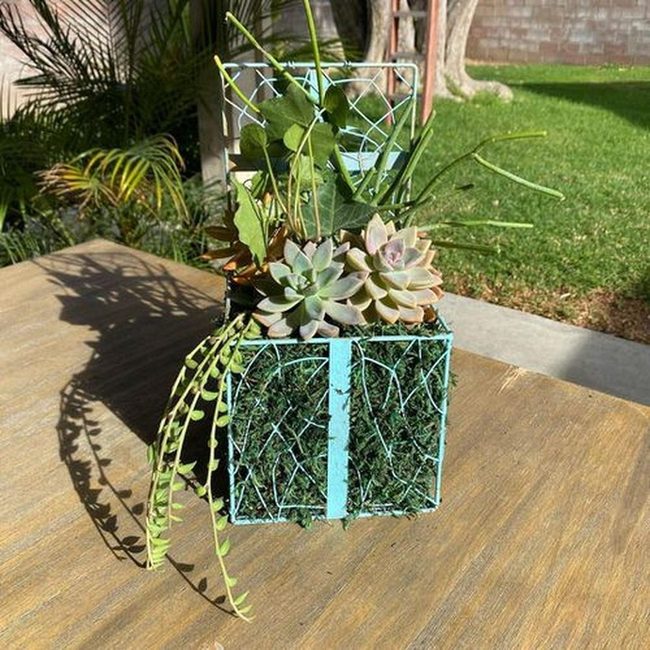 Metallic Succulents With Festive Accents