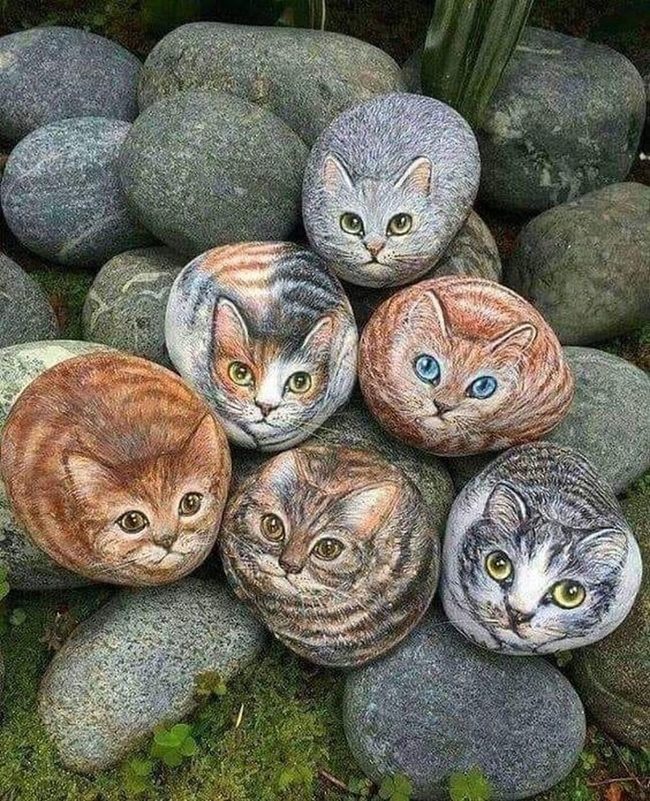 Hand-Painted Stone Cat Faces