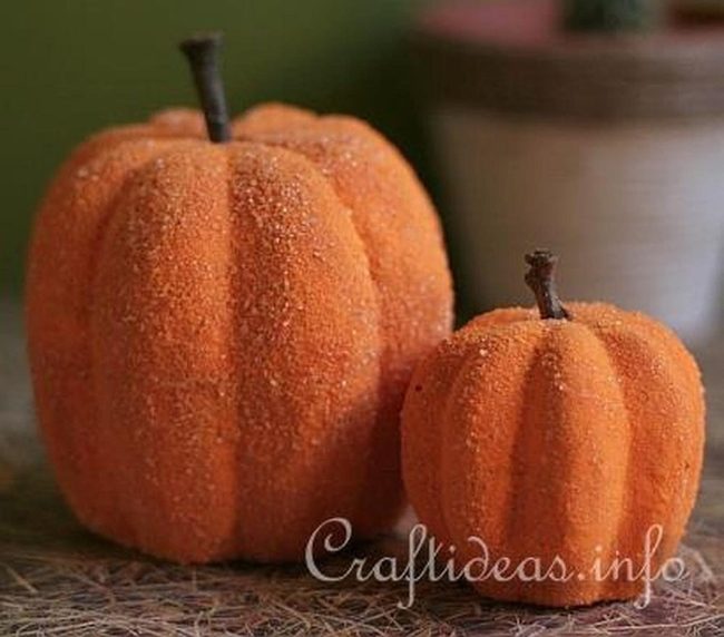 Burnt Orange Pumpkins Autumn Harvest