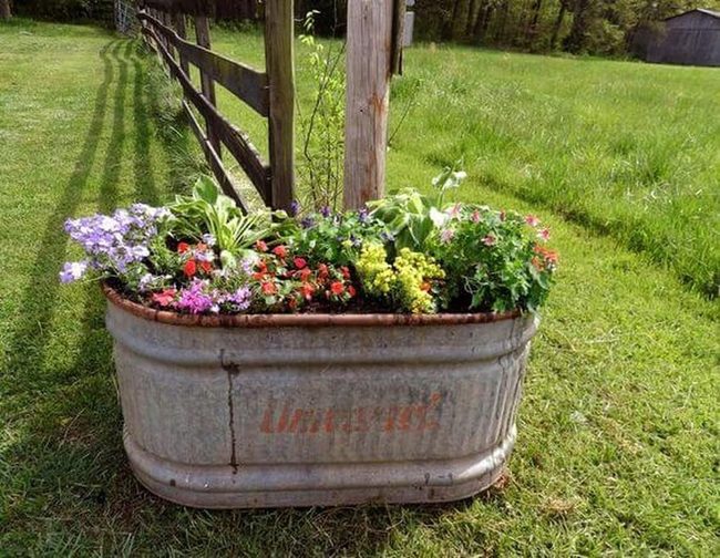 Weathered Water Trough Planters