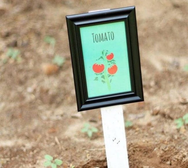 Hand-Painted Plant Labels
