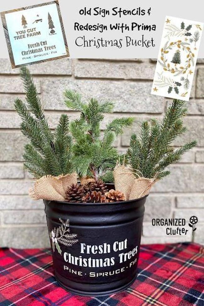 Black Bucket Pine Branches