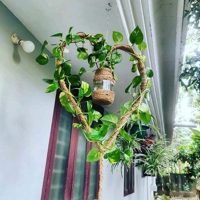 Green Pothos Heart Wreath