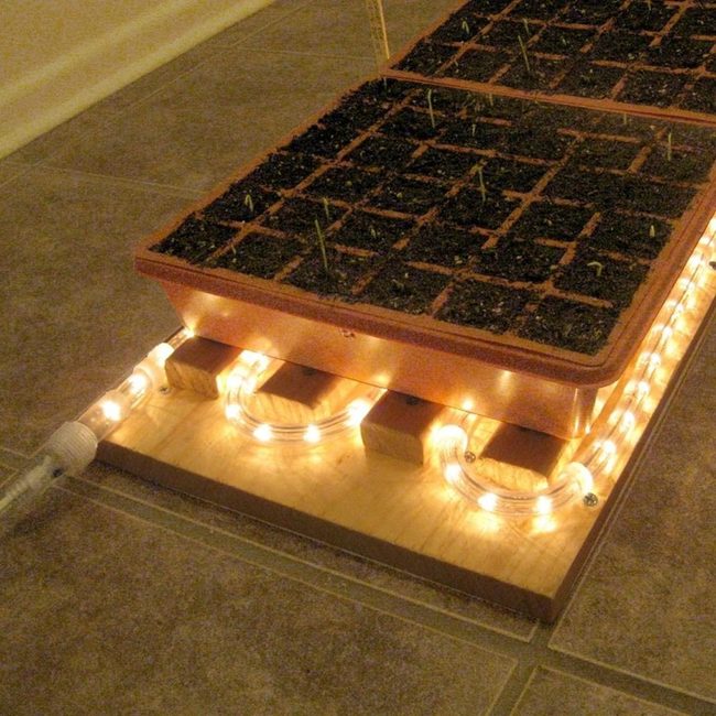 Elevated Garden With Warm Underlight