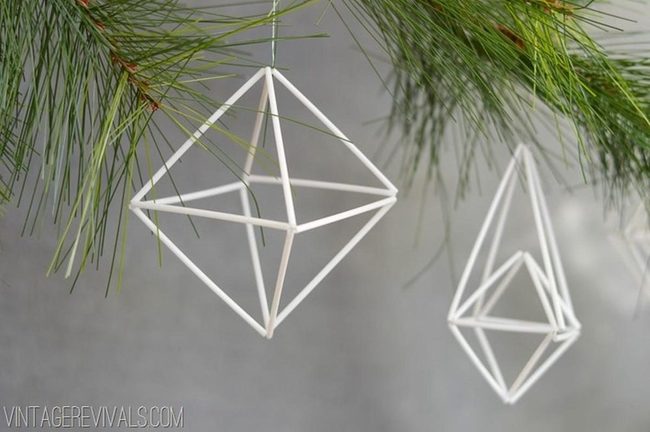White Geometry Meets Green Pine