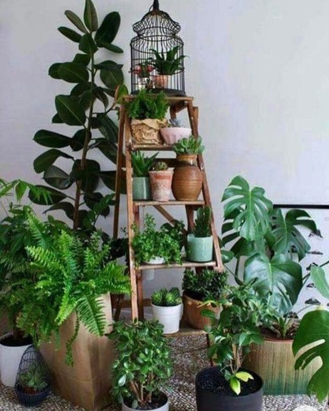 Cascading Green Ladder Wall
