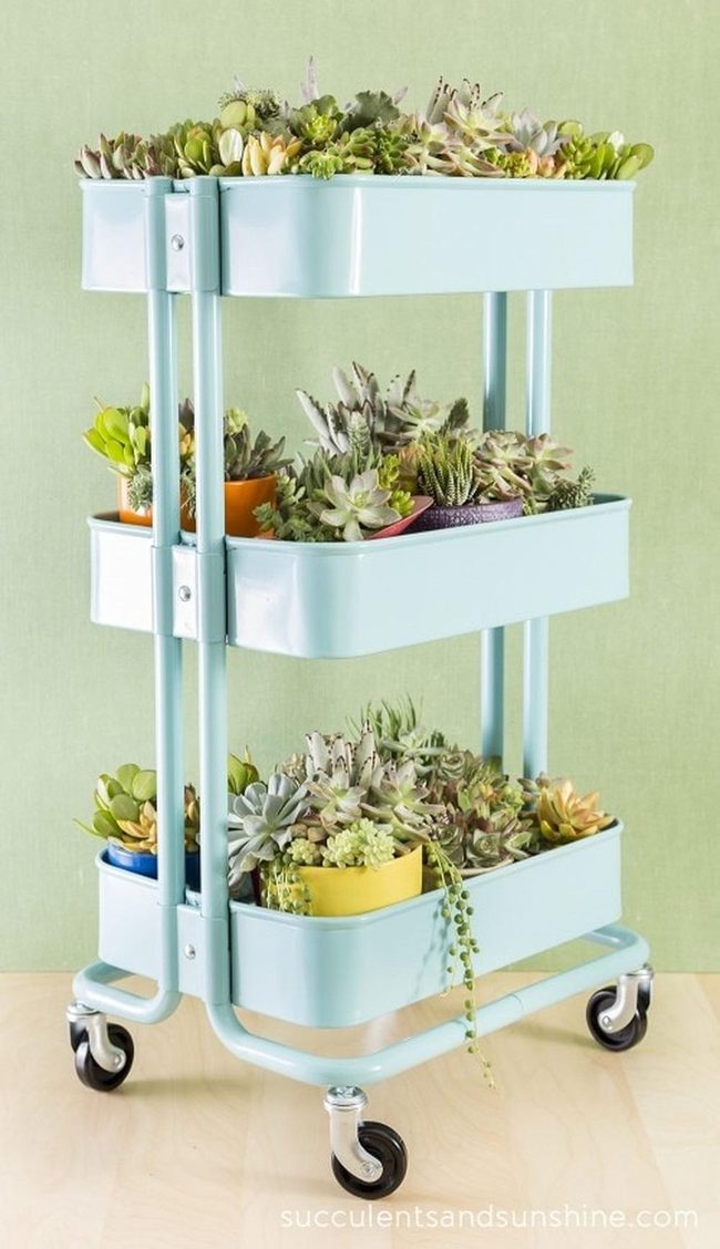 Wheeled Succulent Tower With Citrus Pops