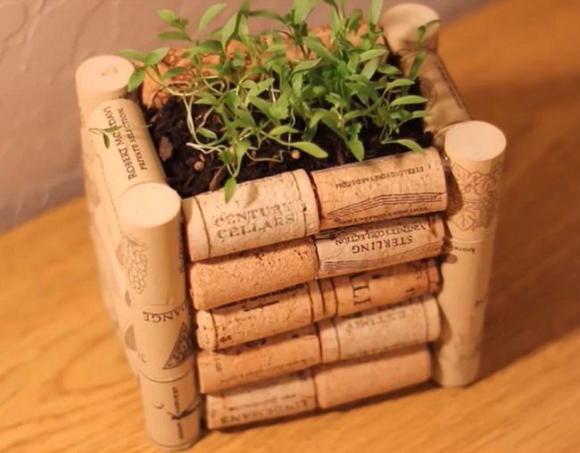 Cork And Succulent Planters