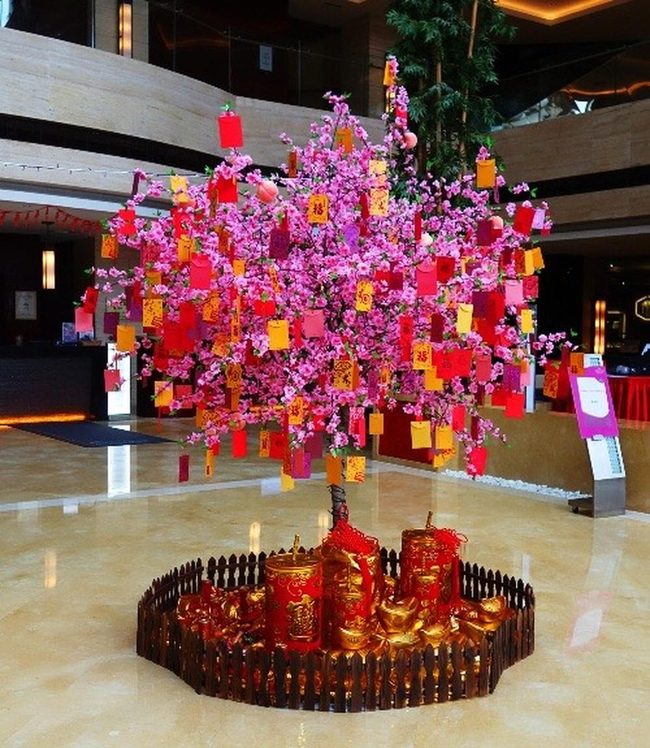 Pink Blossoms Interactive Wishes