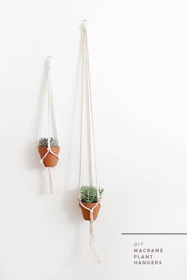 Beige Macramé Succulent Hanger
