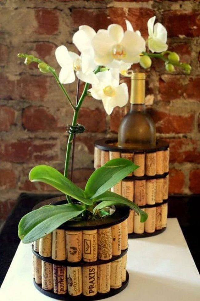 Cork Planters With Blooming Orchids