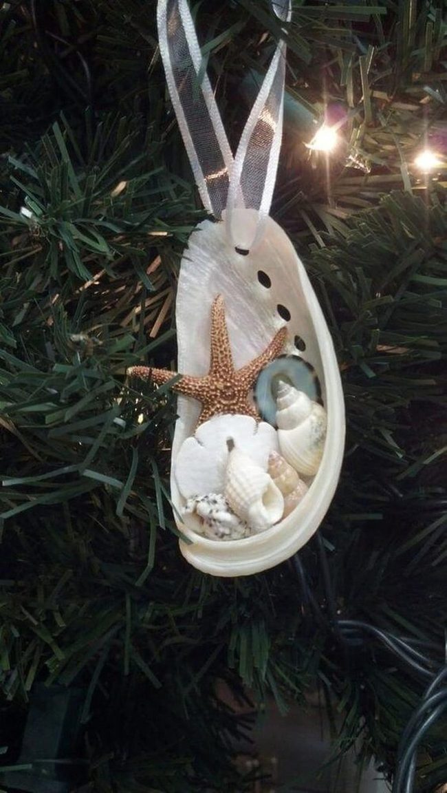 Natural Shell Ornaments Coastal