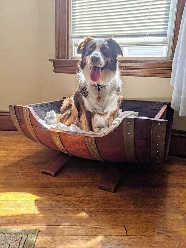 Reclaimed Barrel Pet Nest