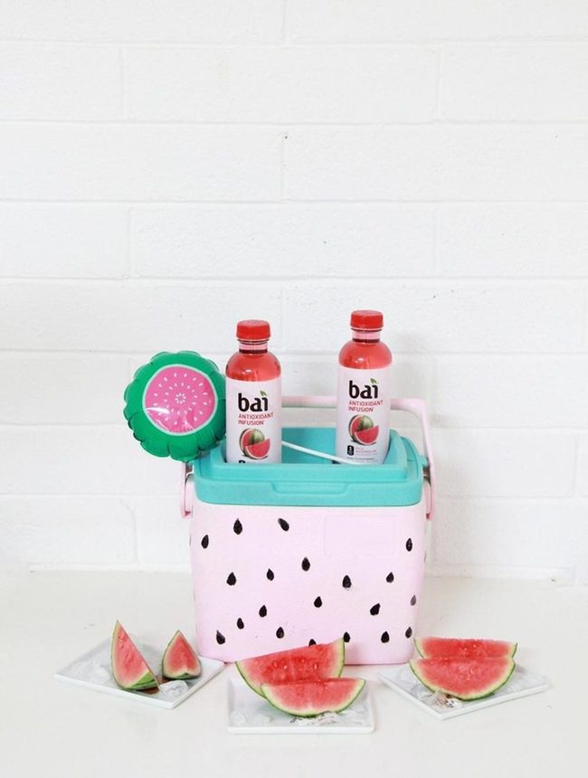 Pink Watermelon Summer Coolers