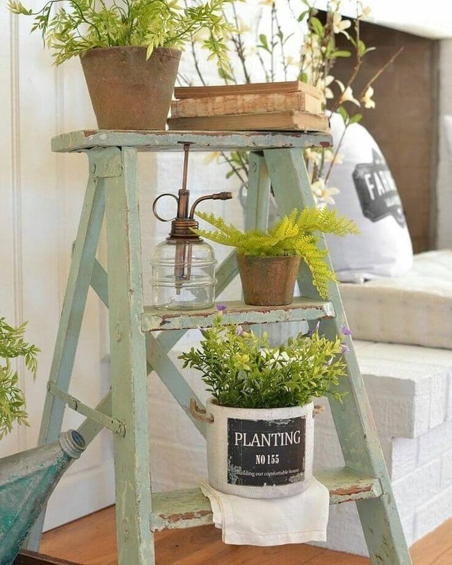Weathered Ladder Plant Tower