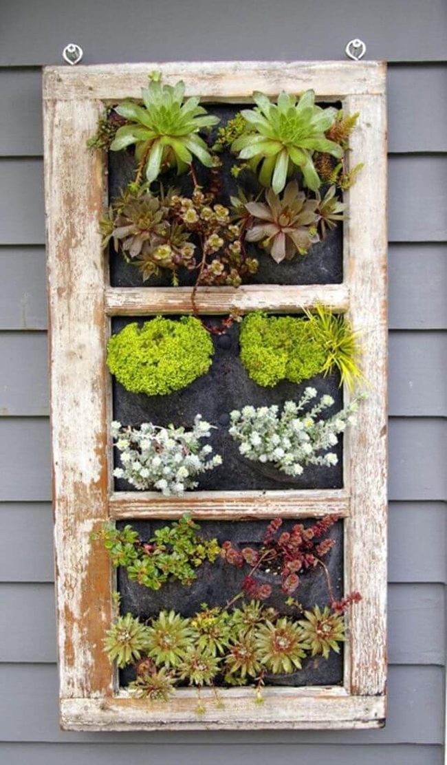 Weathered Window Succulent Garden