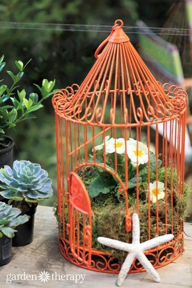 Birdcage Planter With Cascading Blooms