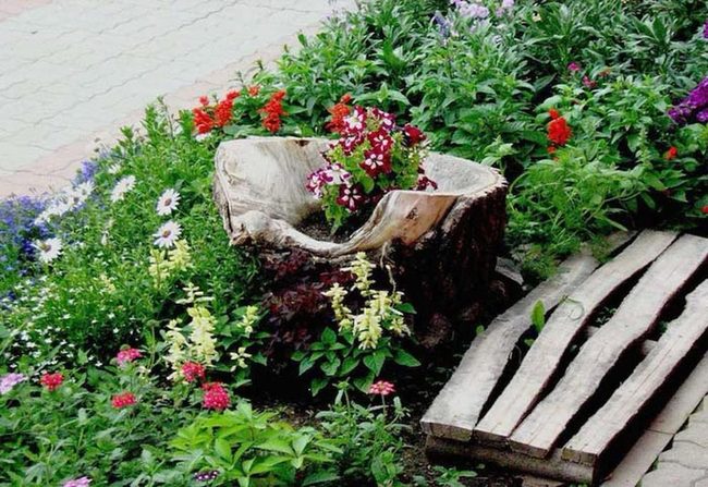 Burgundy Petunias In Weathered Wood