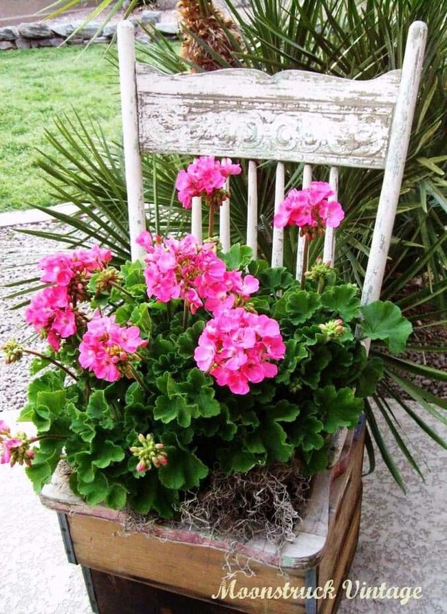 Weathered Chair, Blooming Planter