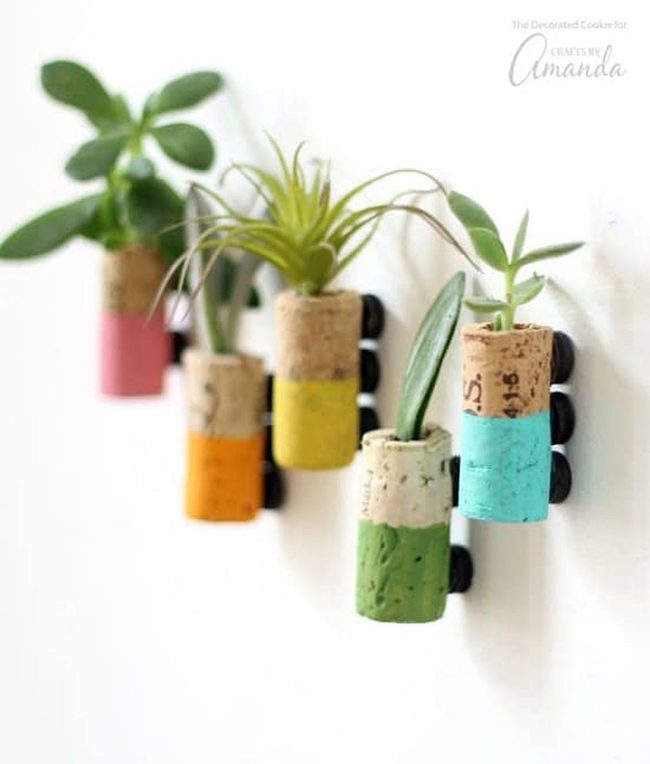 Cork Succulent Refrigerator Magnets