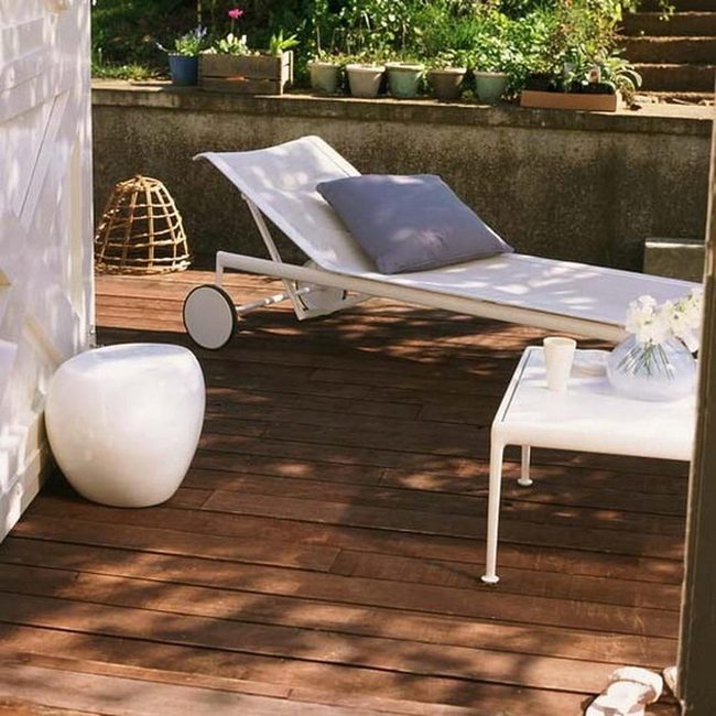 Dappled Wood, Potted Greens