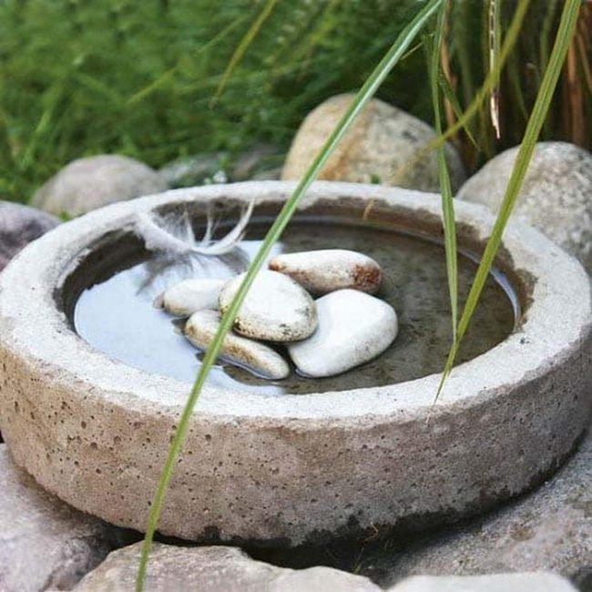 Concrete Birdbath Stone Garden