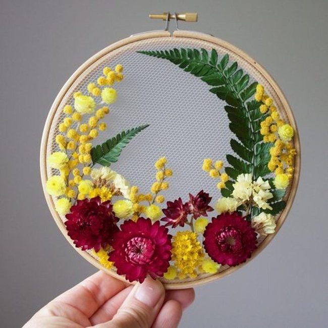 Yellow And Red Pressed Blooms