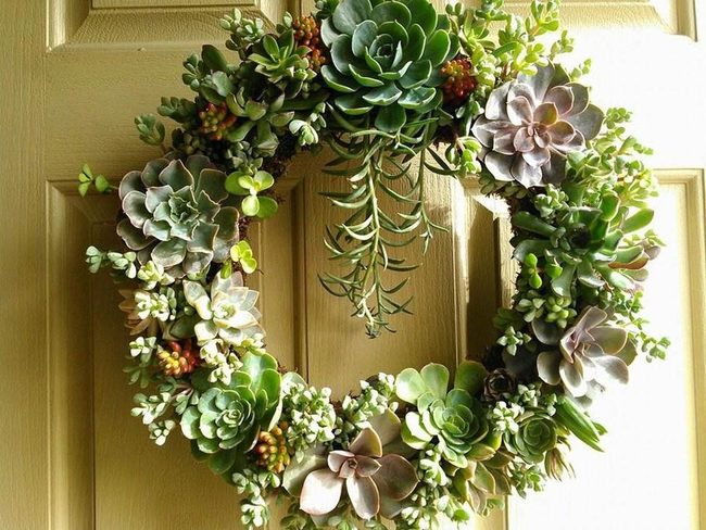 Succulent Wreath Wall Art