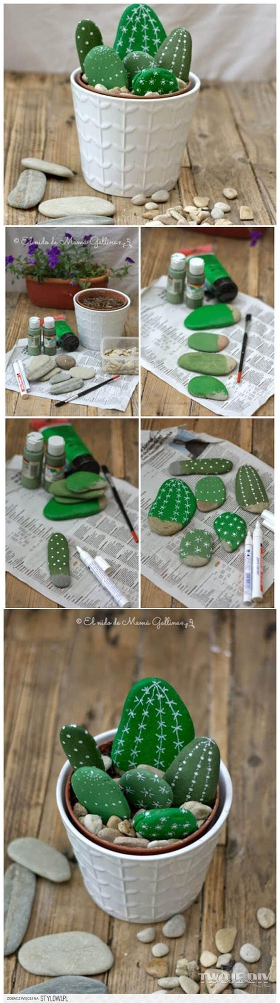 Hand-Painted Cactus Stones