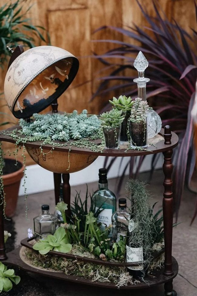Weathered Wood Meets Living Green
