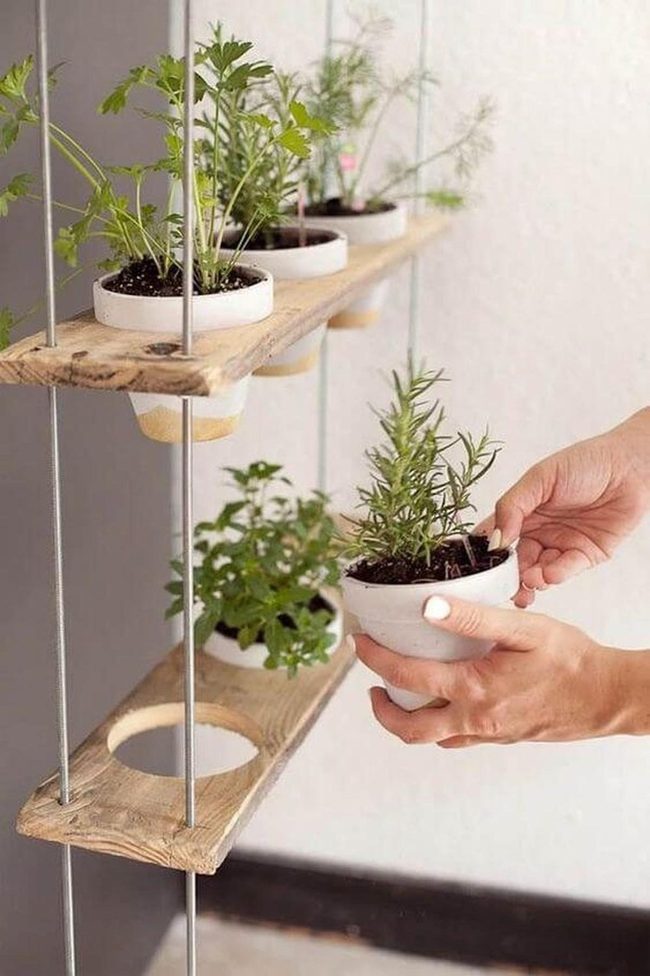 Pallet Wood Vertical Herb Garden
