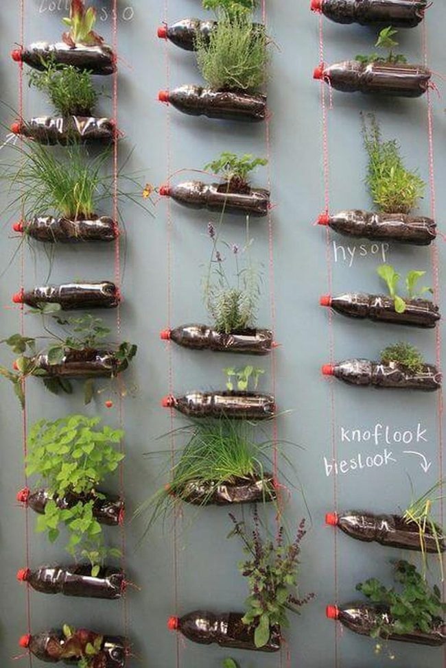 Green Cascades From Recycled Bottles