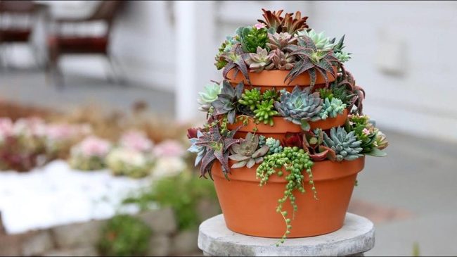 Stacked Terracotta Cactus Tower